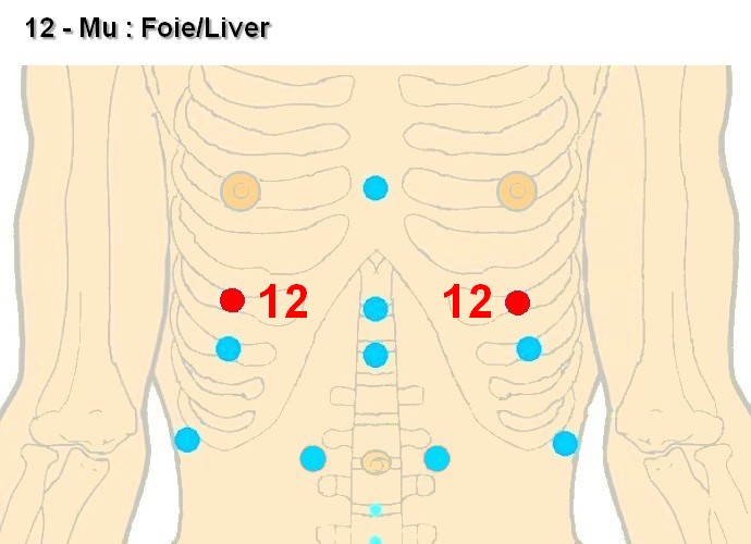 12 mu foie liver