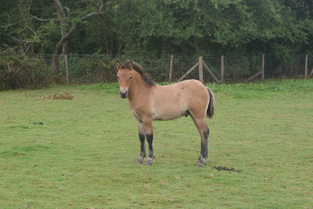 Dsc00900