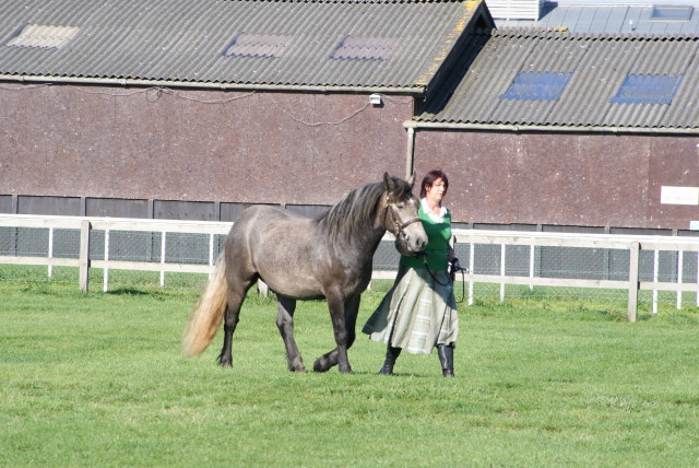 Dsc00907