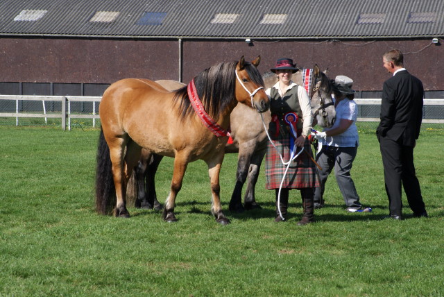 Dsc00937