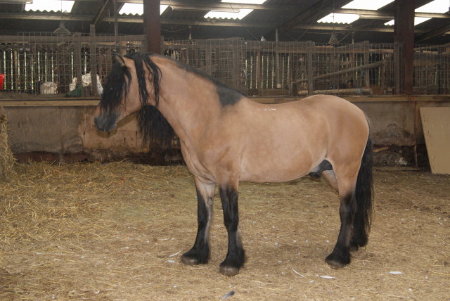 Copie de dsc00882