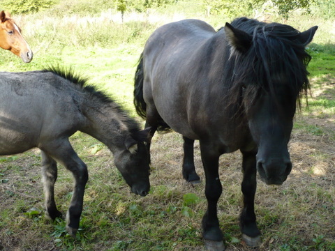 P1000548