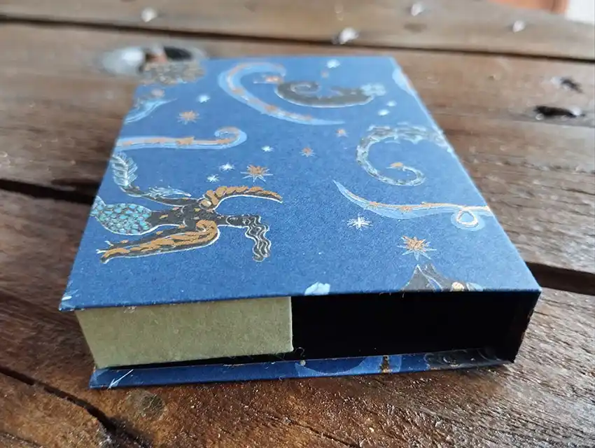 2025 06 porte carte bleu astro 3 