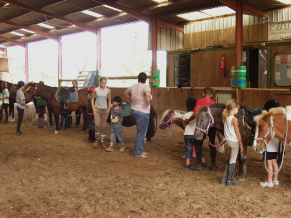 Fete du Cheval2012 011