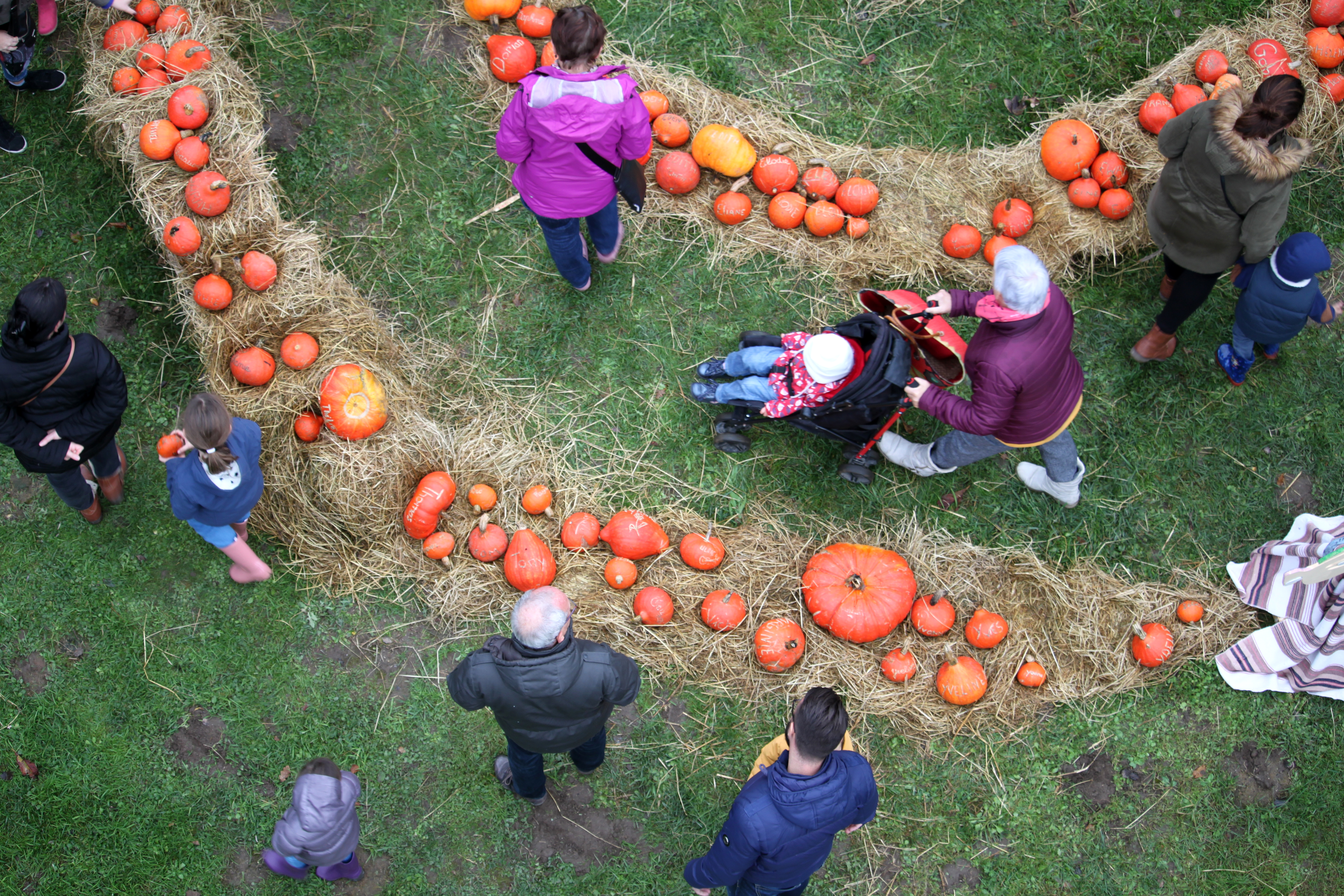 Colimacon 123 14 