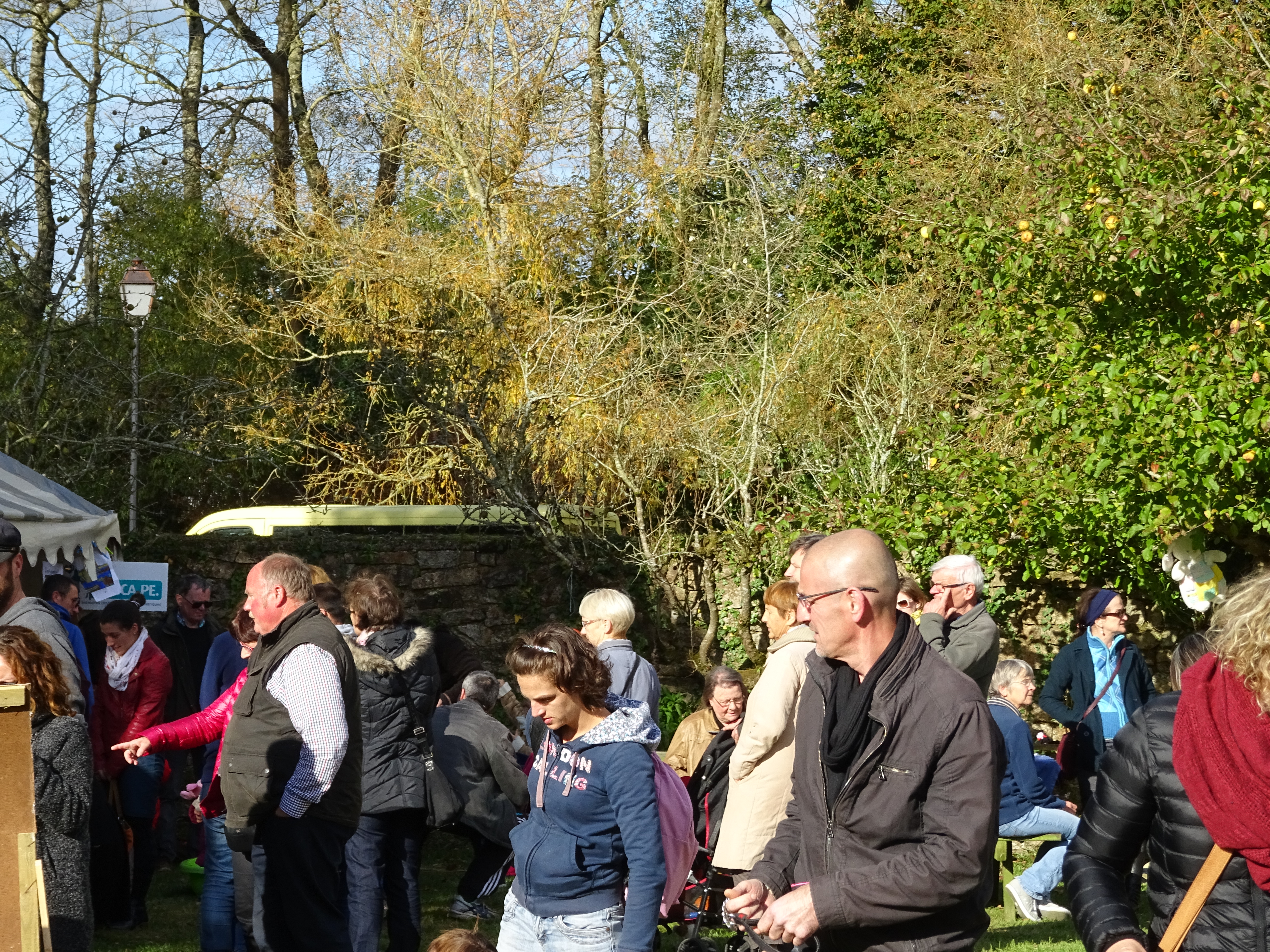 Cgdsc00718 elan 25 10 2015