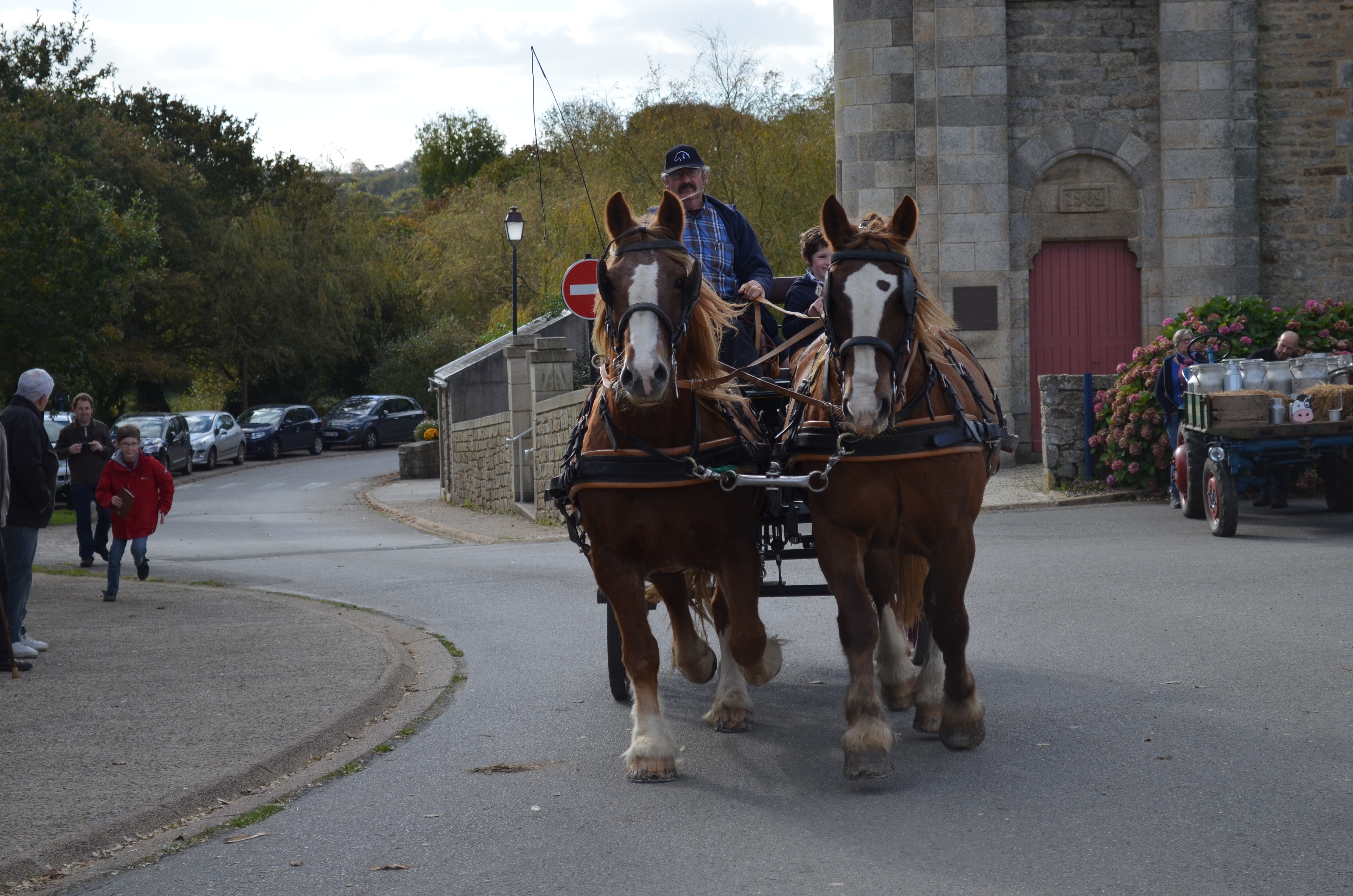 Habdsc 0195 alexandra 25 10 2015