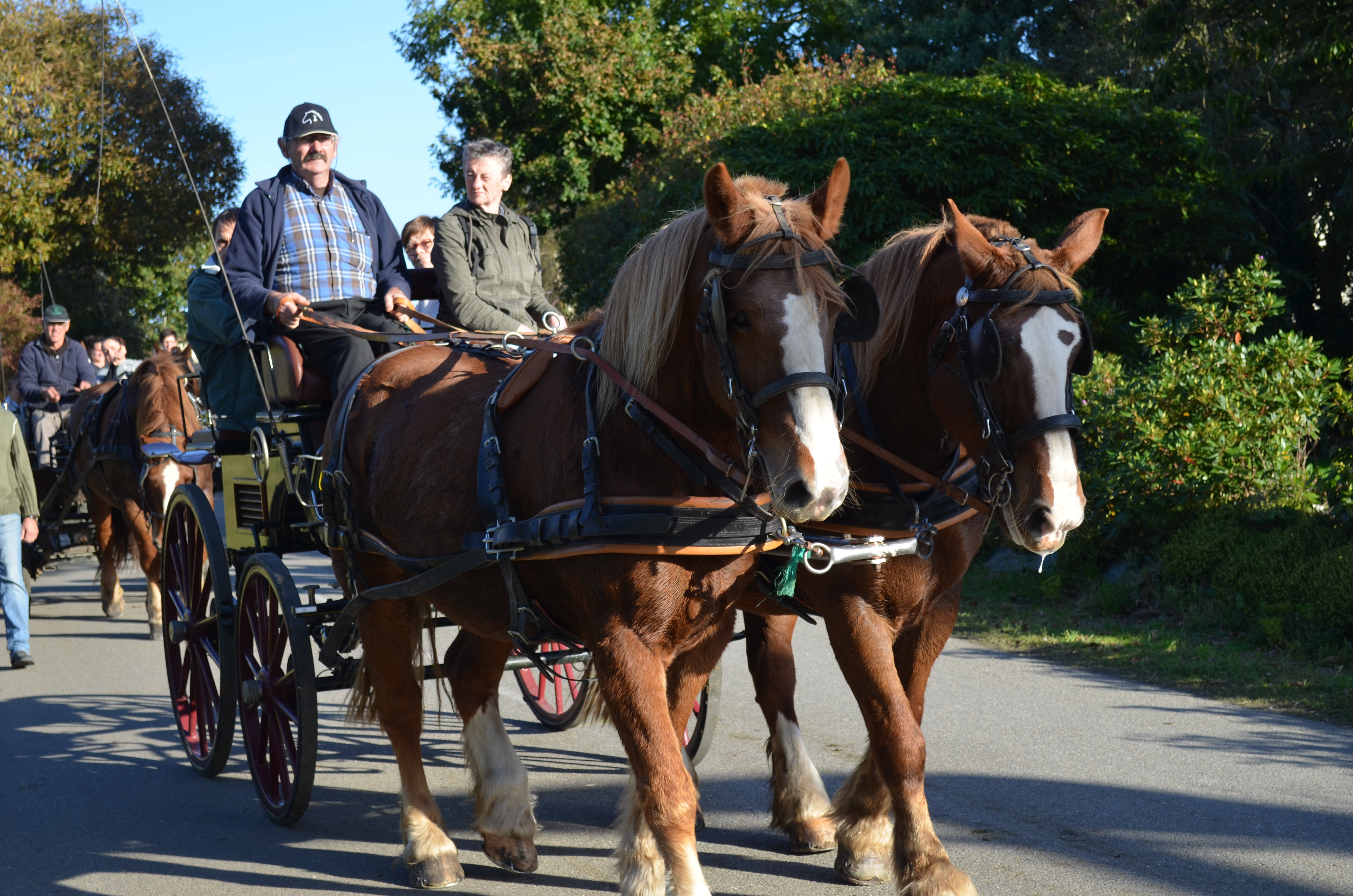 Habdsc 0250 alexandra 25 10 2015