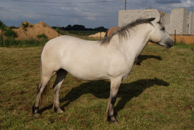 DSC01873
