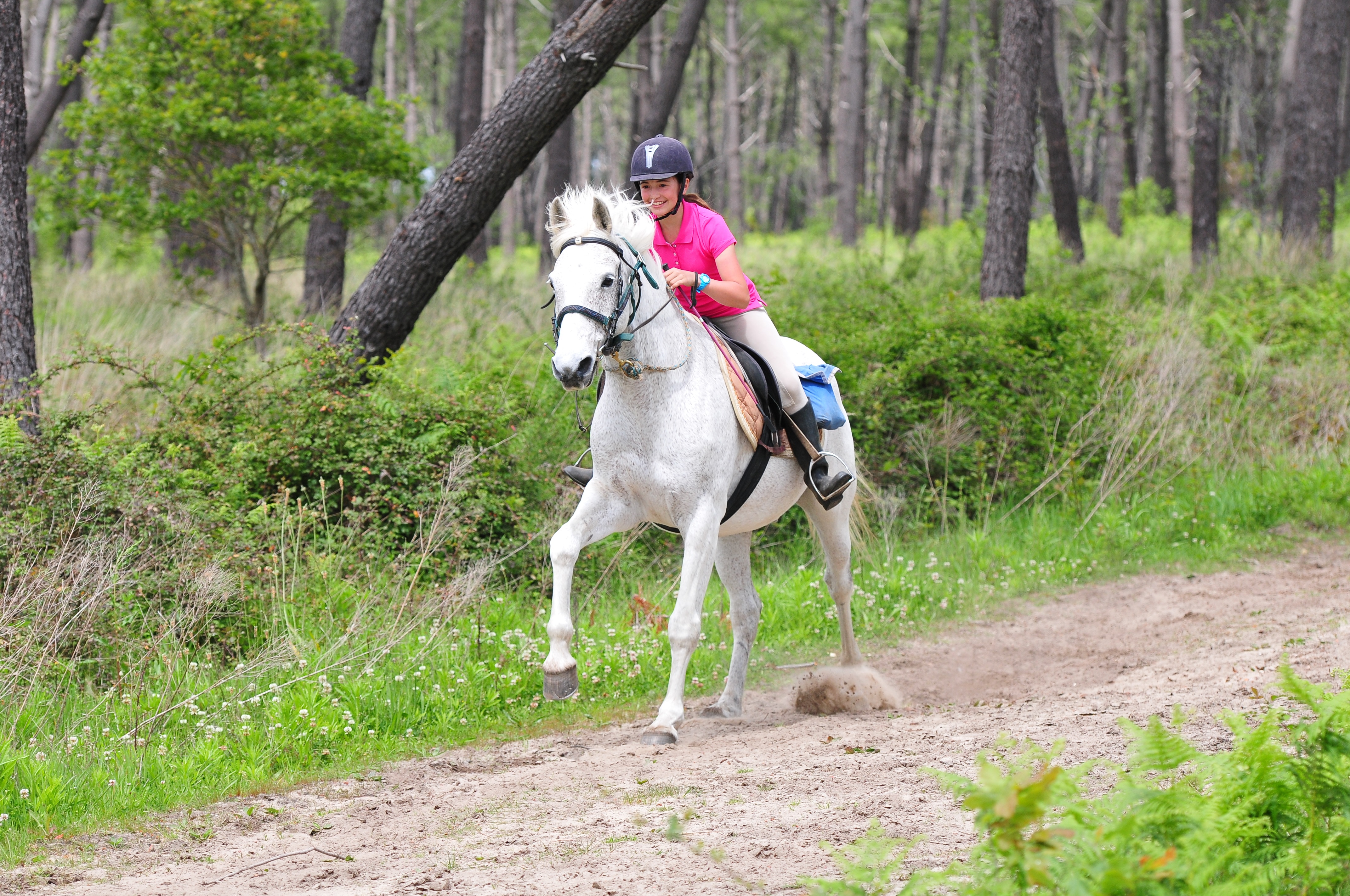 Dsc 4301 a