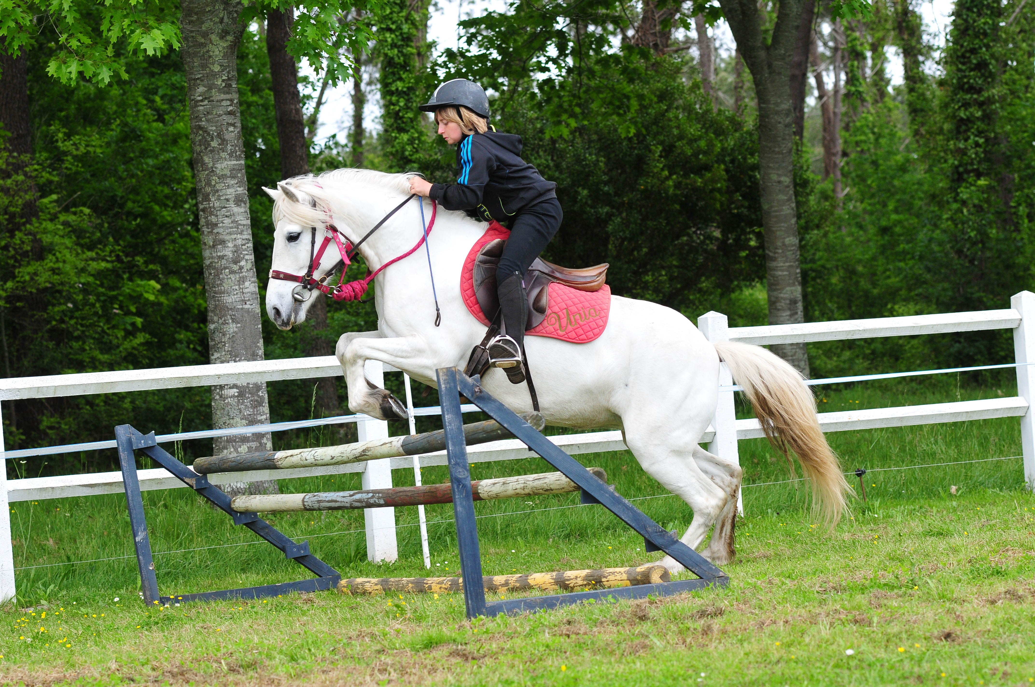 Dsc 4772 a