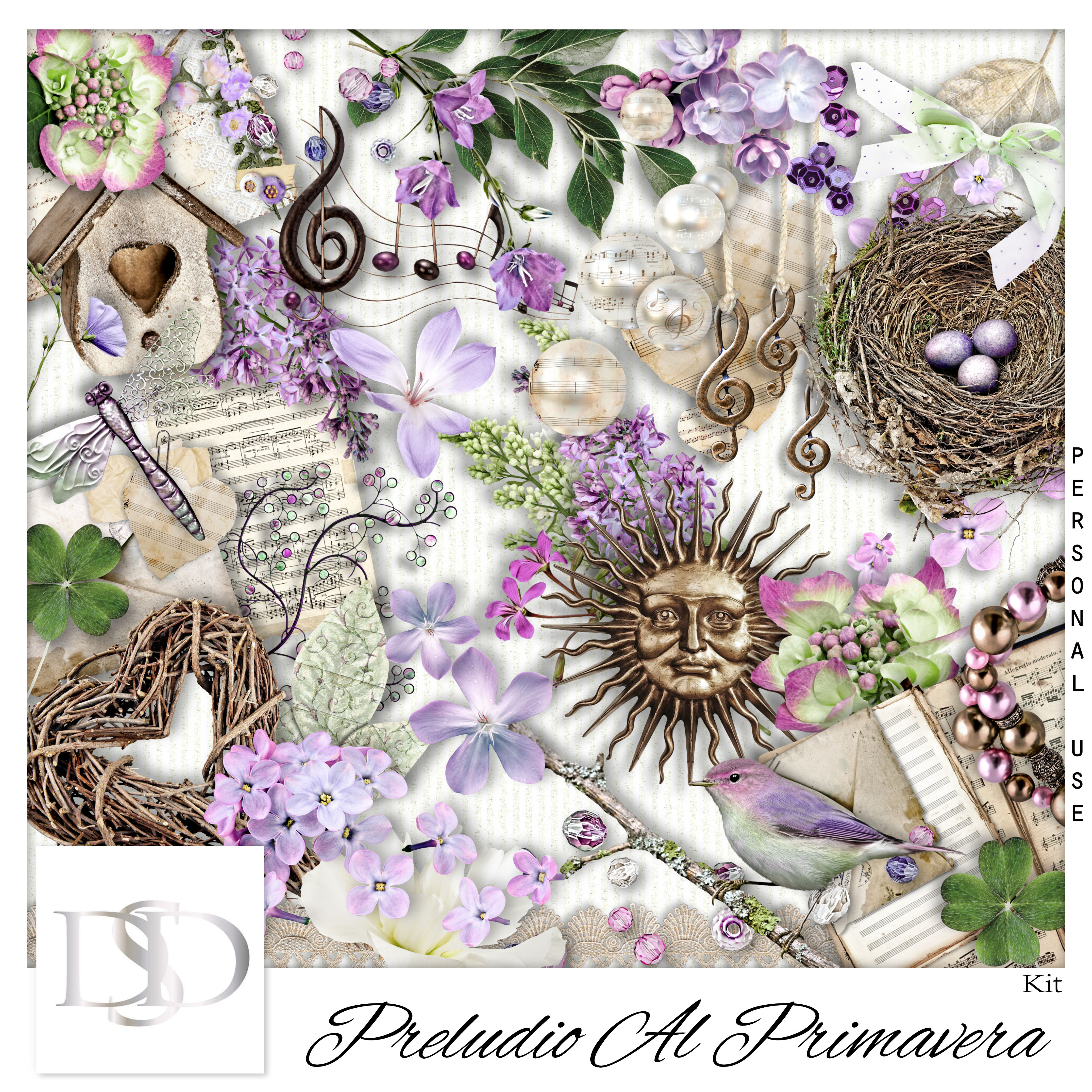Dsd preludio kit