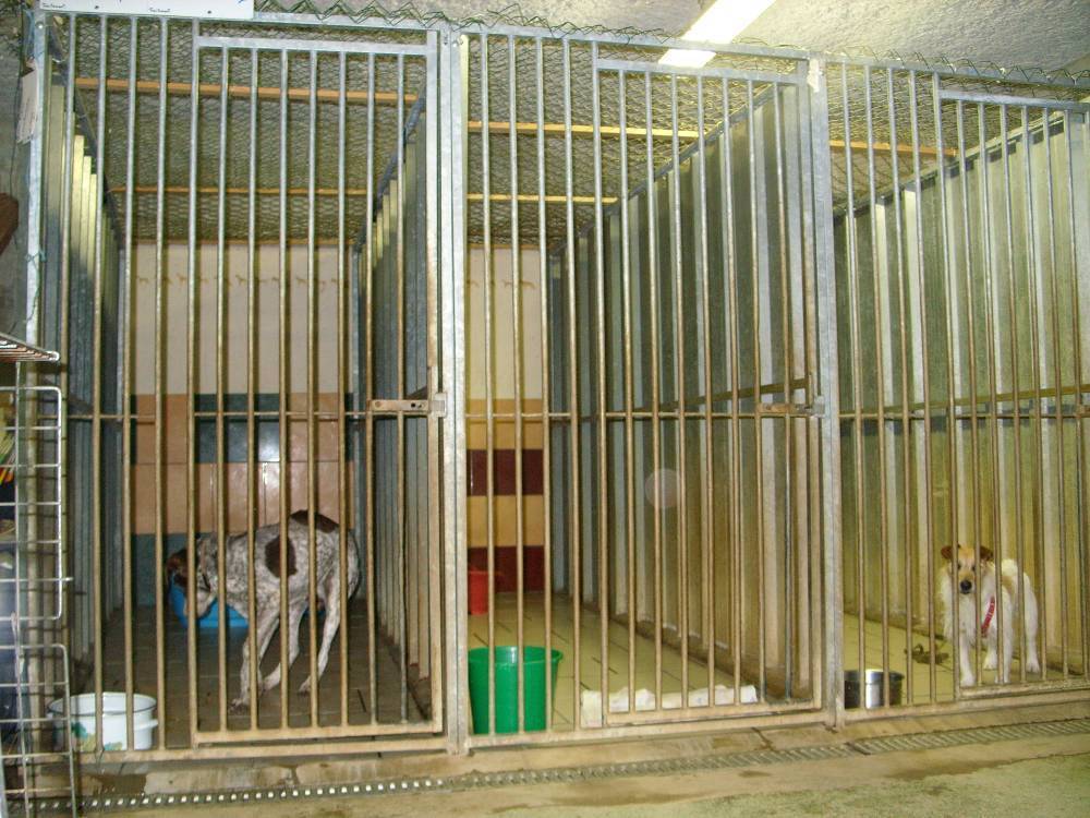 Boxes du garage fi33404077