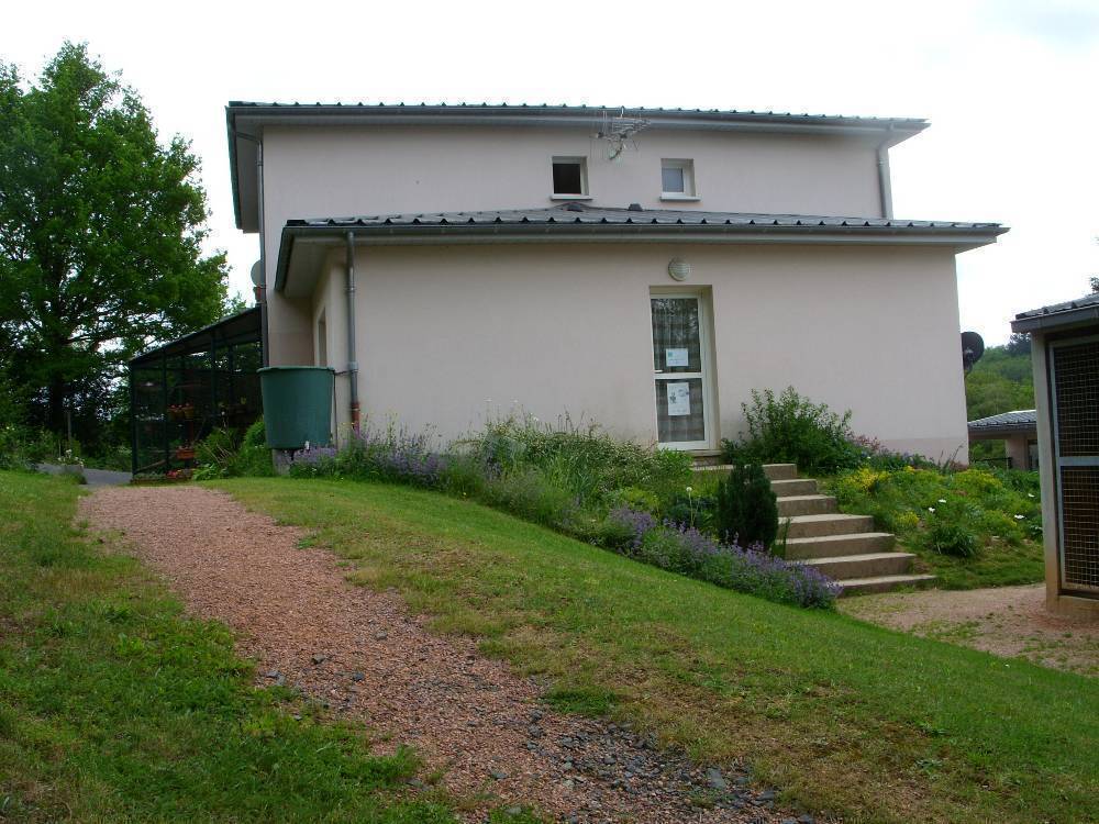 En quittant le chenil fi33404079