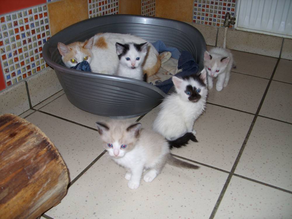 Nursery 3 fi33404092