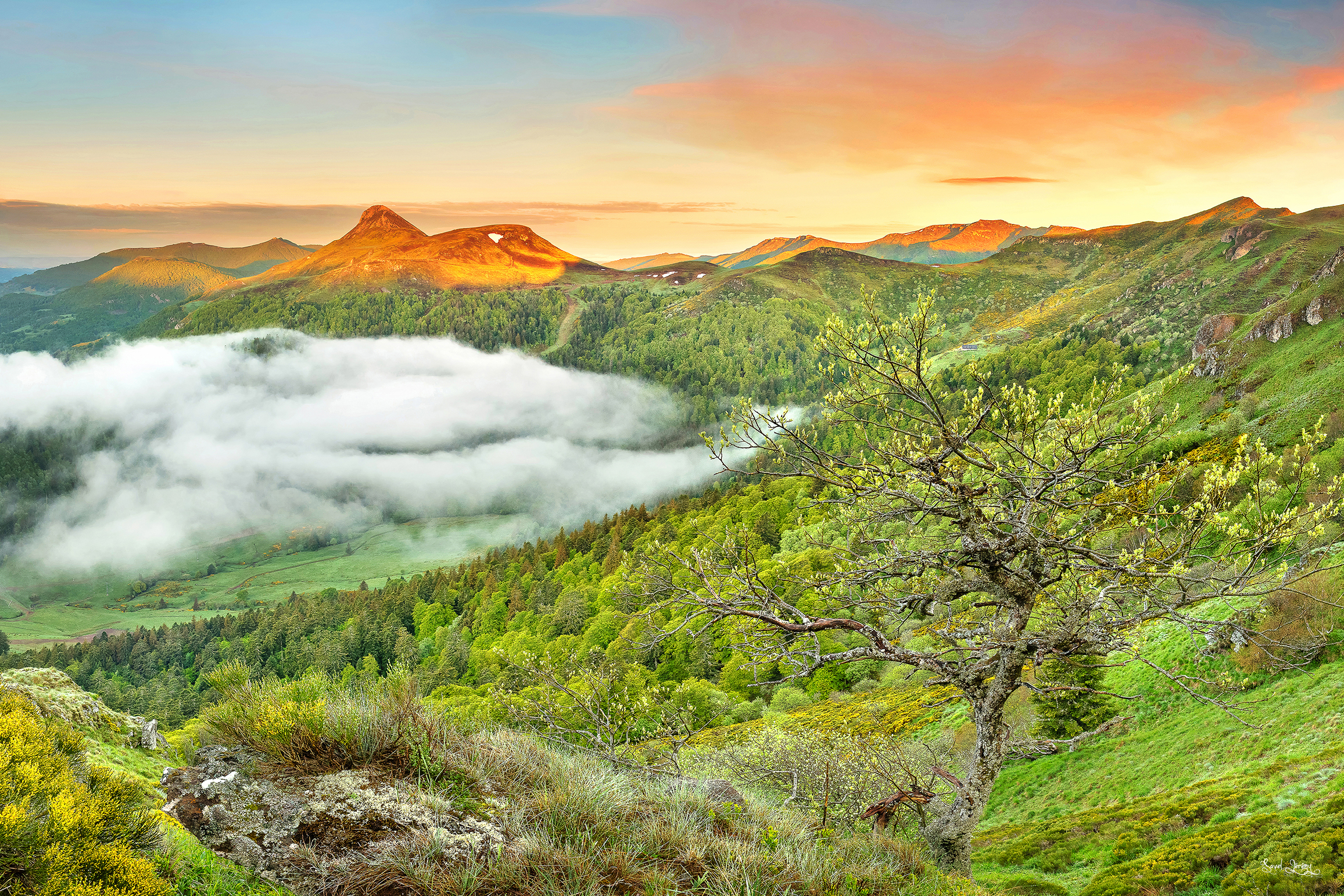 Puy griou 1 fte