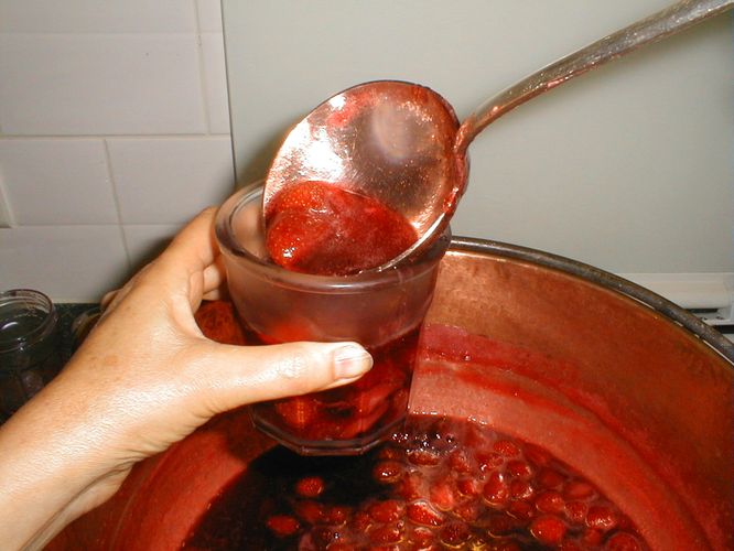 Confiture de la fraiseraie 113