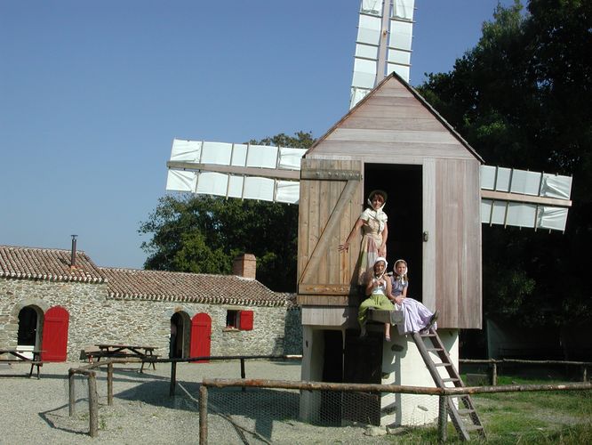 Moulin la petite maison dans la prairie 119