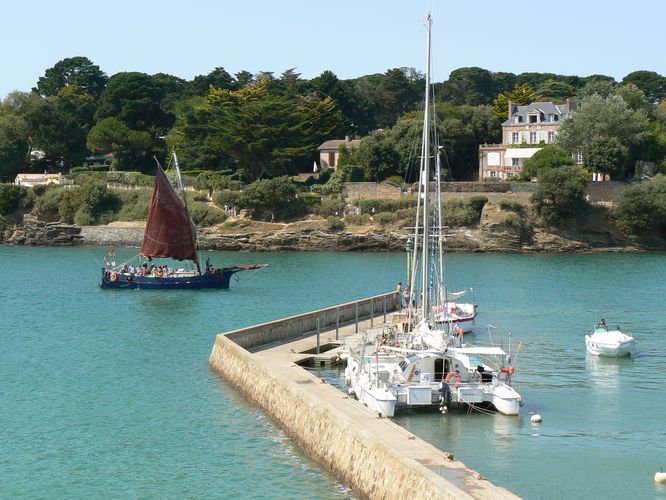 Le brigantin rentre au vieux port 235