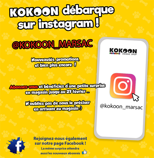 Kokoon Marsac sur instagram