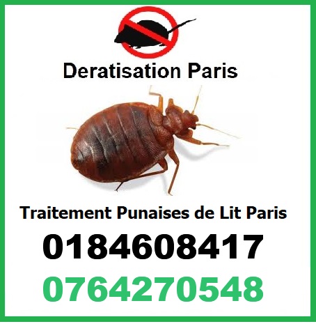 traitement punaises de lit Paris