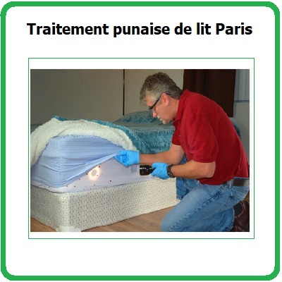 Traitement Punaises de lit Paris 