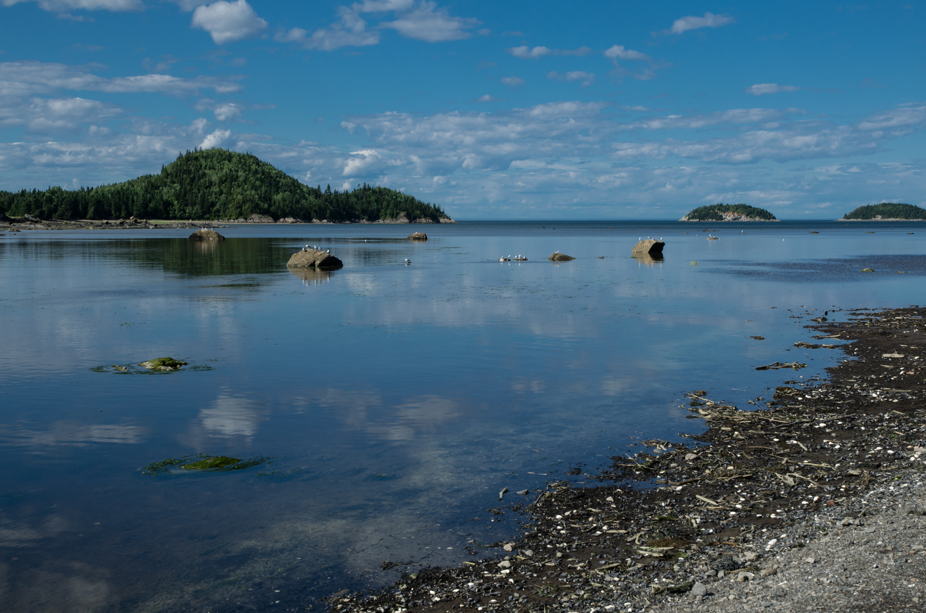 Road trip en Gaspésie #1