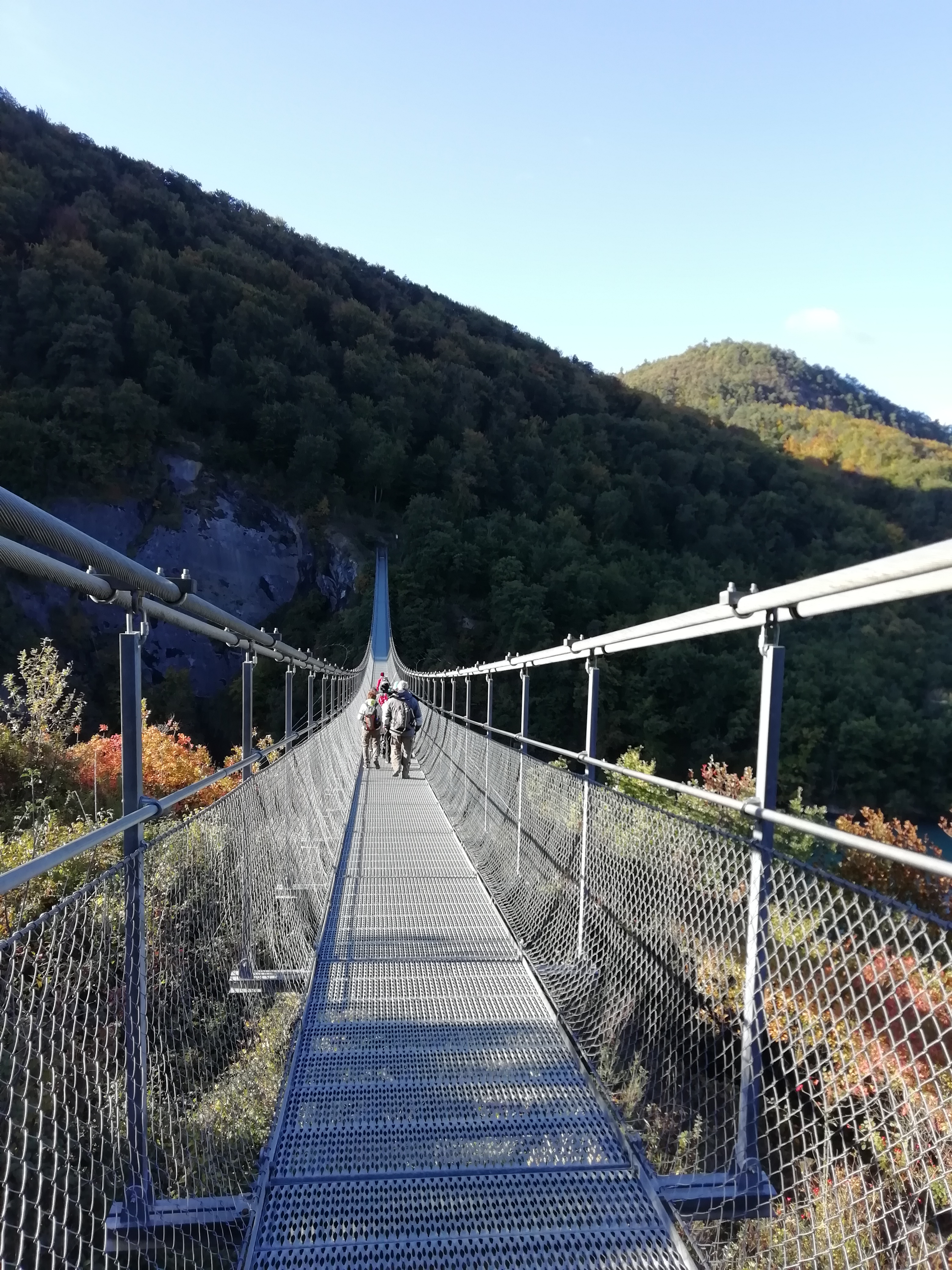 Img 20201011 095757