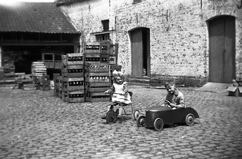 Negatif Alphonsine Olivier 11 