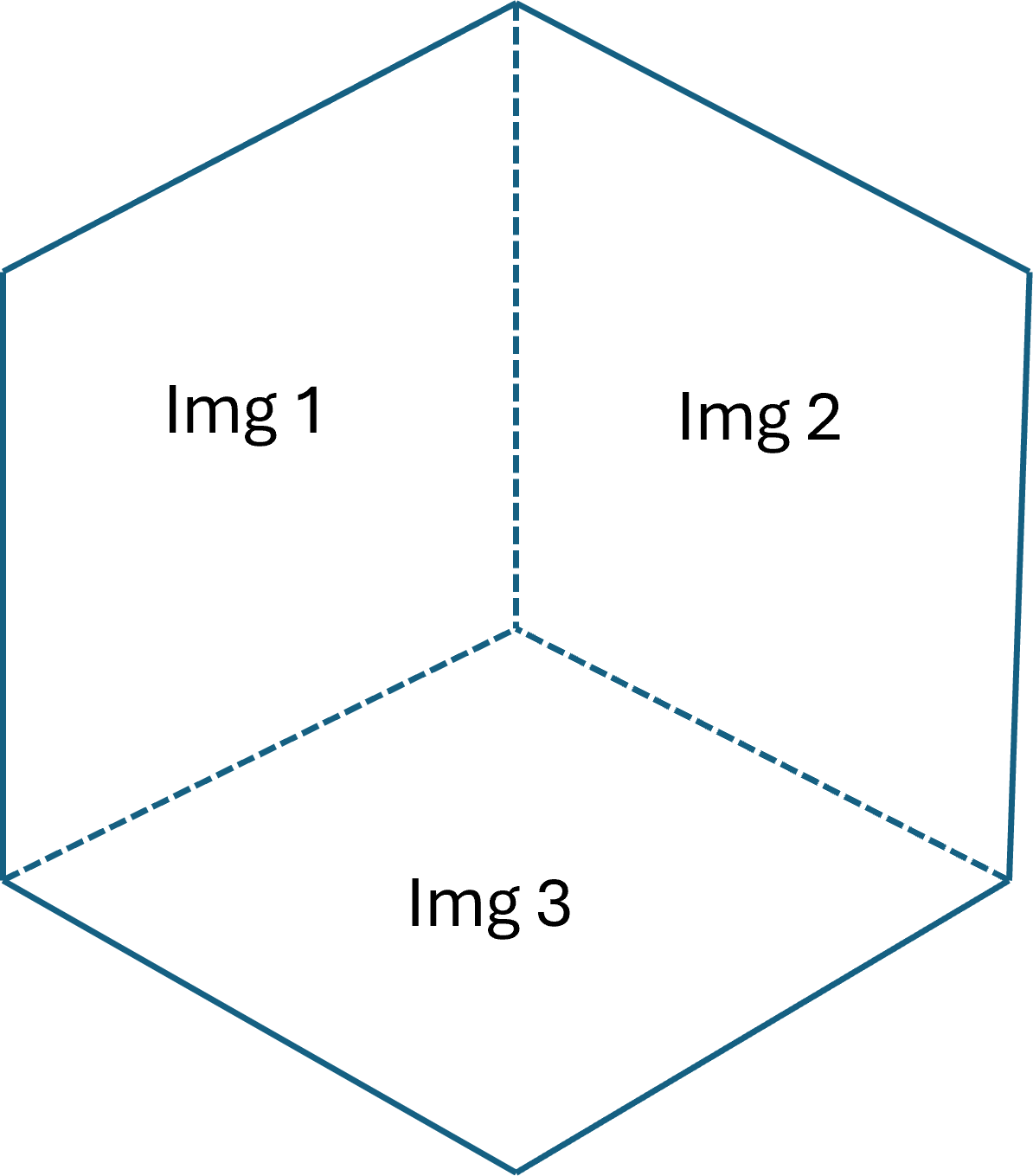 Image1