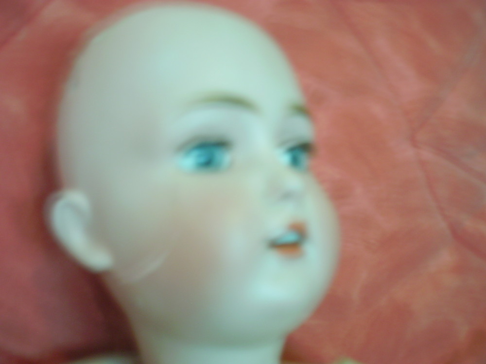 Img 0011