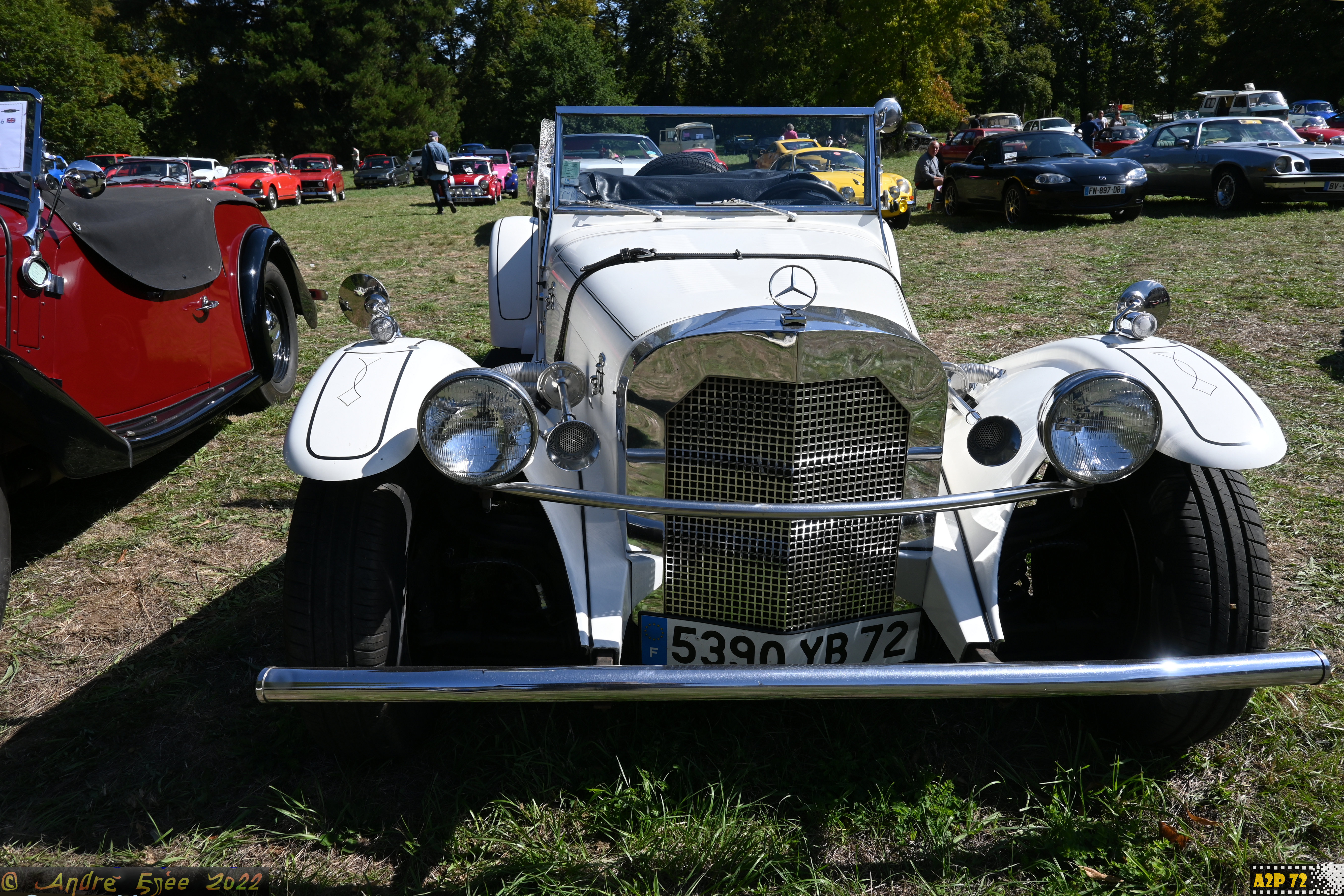 Dsc 1186