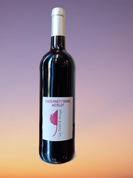 Petiteau vincent
