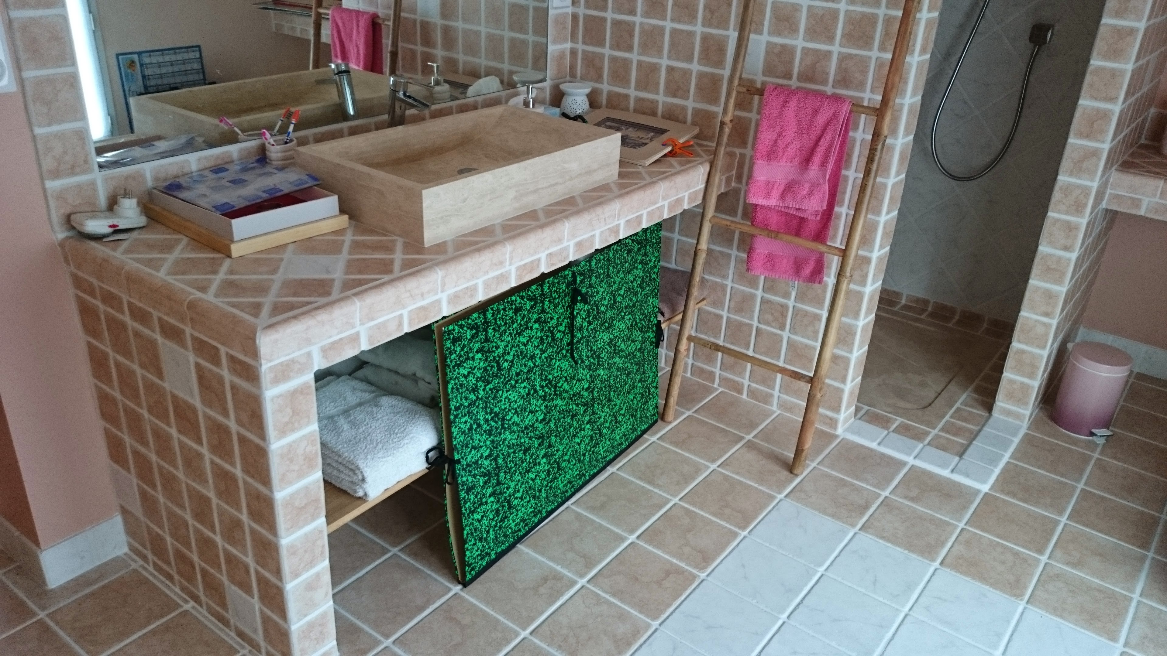 Salle de bain loiseau 1