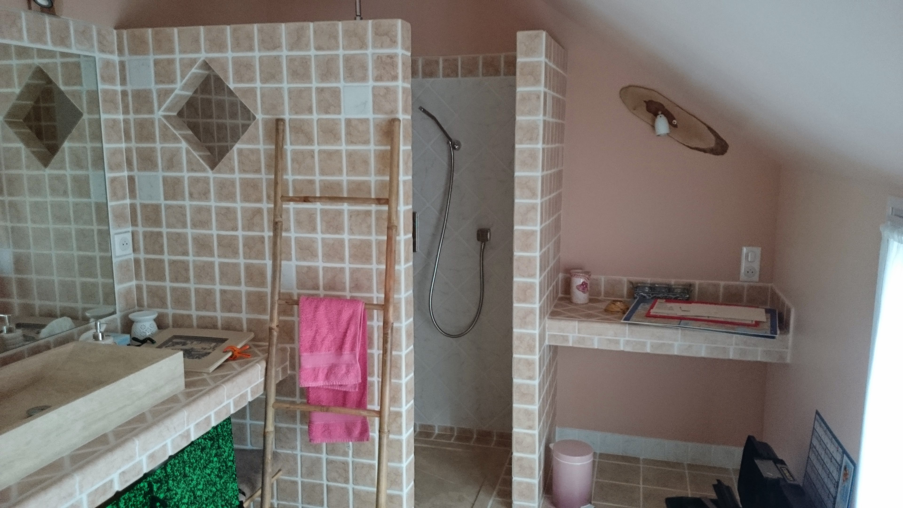 Salle de bain loiseau 4