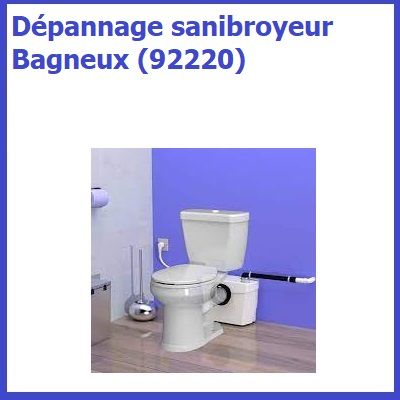 Dépannage sanibroyeur Bagneux (92220)