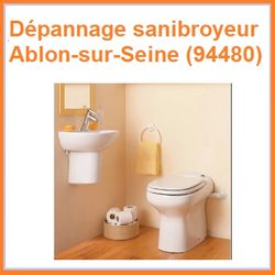 Dépannage sanibroyeur Ablon-sur-Seine (94480)