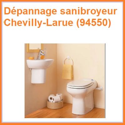 Dépannage sanibroyeur Chevilly-Larue (94550)