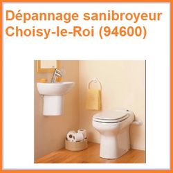 Dépannage sanibroyeur Choisy-le-Roi (94600)