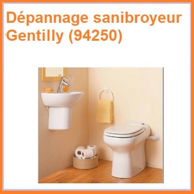 Dépannage sanibroyeur Gentilly (94250)