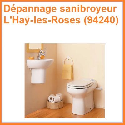 Dépannage sanibroyeur L'Haÿ-les-Roses (94240)