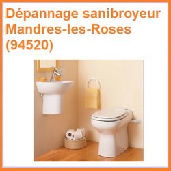 Dépannage sanibroyeur Mandres-les-Roses (94520)
