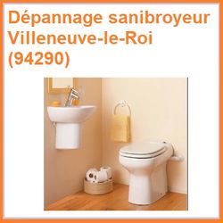 Dépannage sanibroyeur Villeneuve-le-Roi (94290)