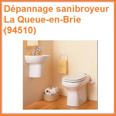 Dépannage sanibroyeur La Queue-en-Brie (94510)