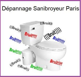 Dépannage sanibroyeur en panne Paris bruit
réparation
anormales