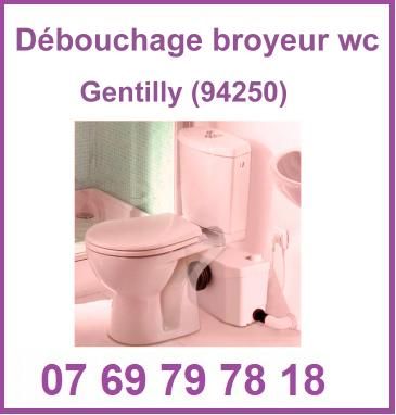 Débouchage broyeur WC Gentilly (94250)

