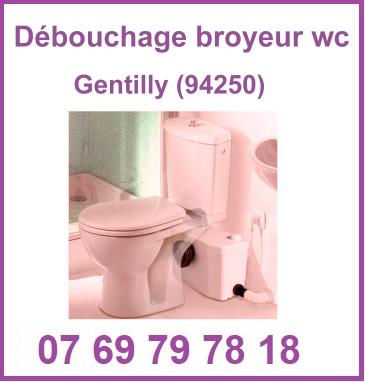 Débouchage broyeur WC Gentilly (94250)


