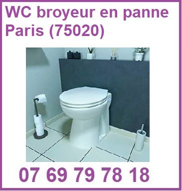 WC broyeur en panne Paris (75020)