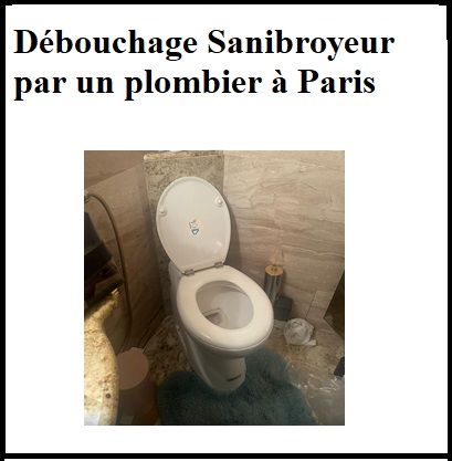 Débouchage Sanibroyeur par un plombier à Paris