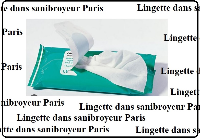 lingette dans sanibroyeur paris